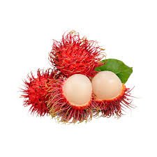 Rambutan – The Tropical Wonder
